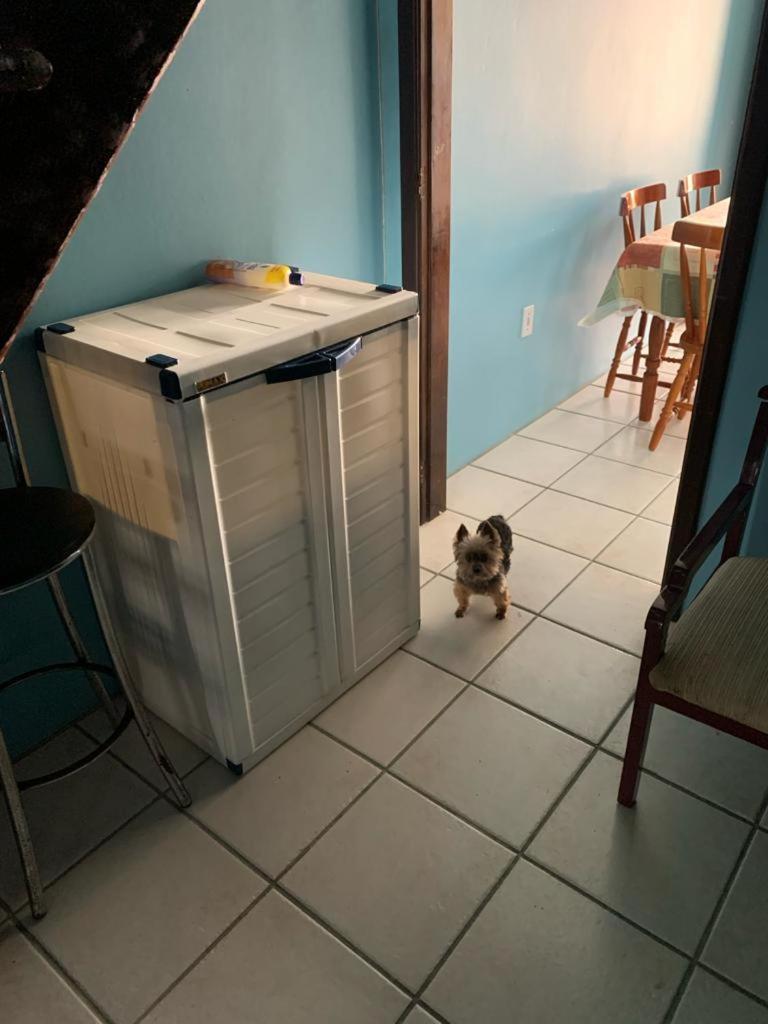Apto De 6a8 Pessoas A 50m Aceita Pets Cidreira